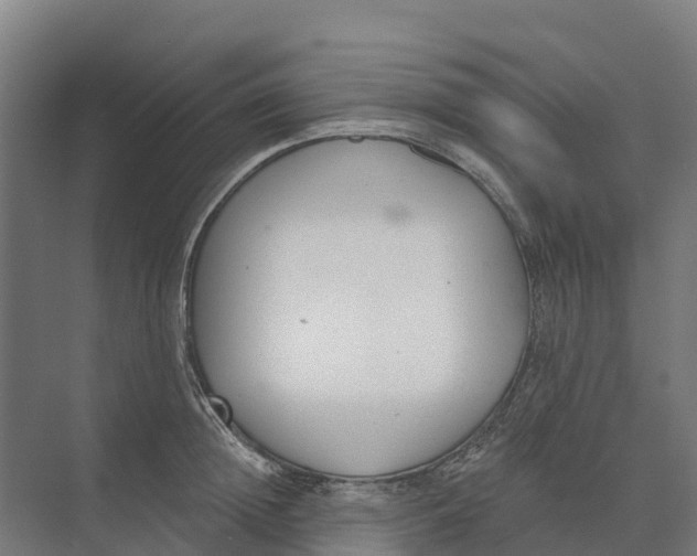 X0000073970852200609111740