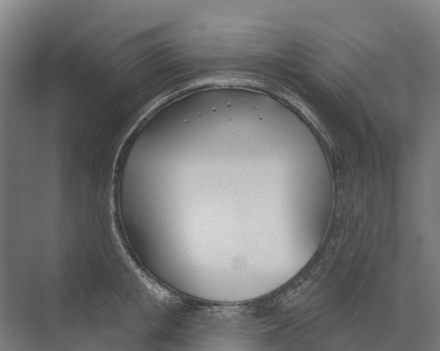 X0000073970853200609111740