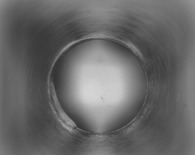 X0000073970854200609111740