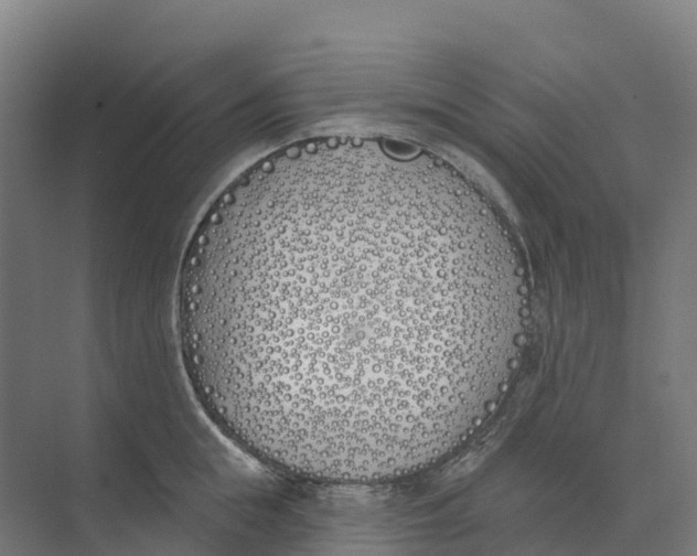 X0000073970855200609111740