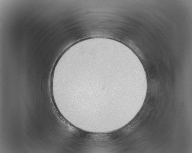 X0000073970856200609111740