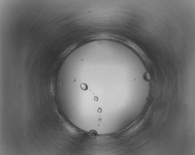 X0000073970857200609111740