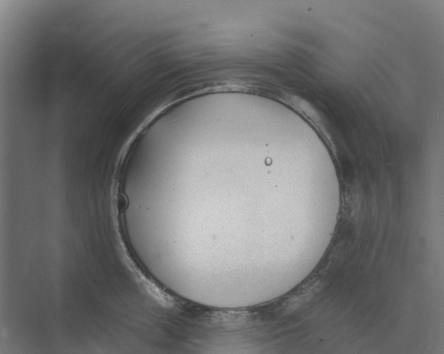 X0000073970859200609111740