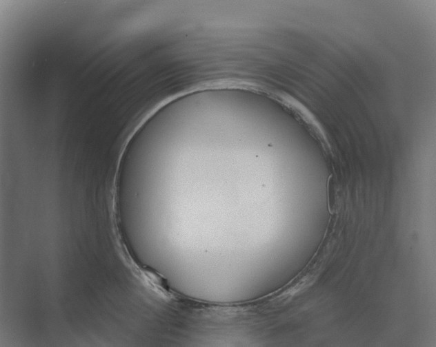 X0000073970860200609111740