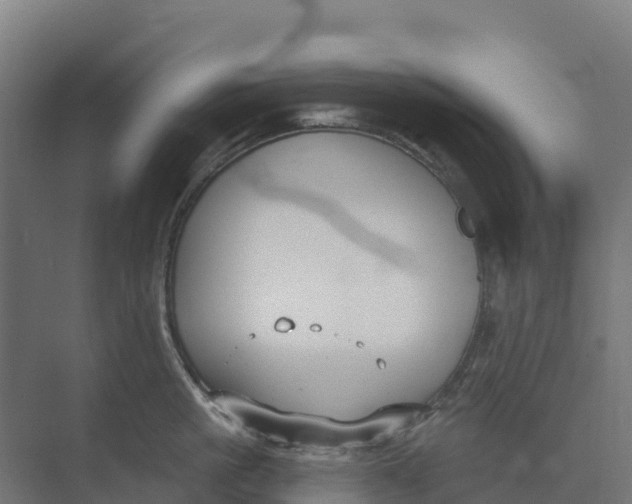 X0000073970861200609111740