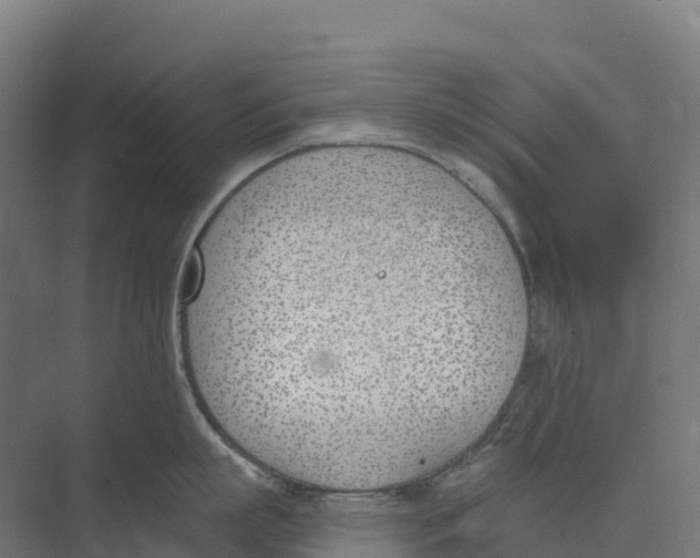 X0000073970863200609111740