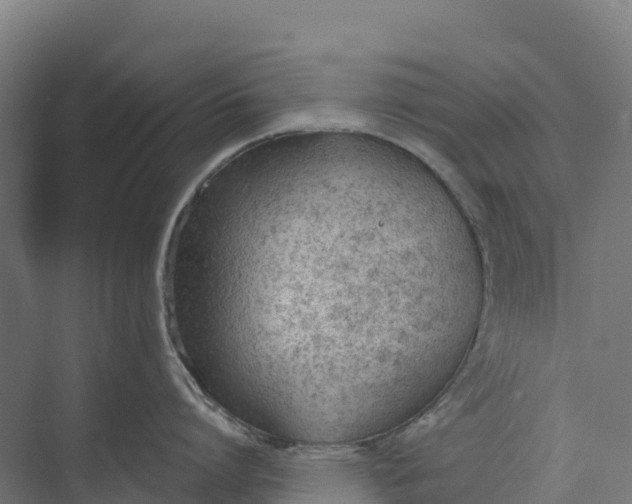 X0000073970864200609111740