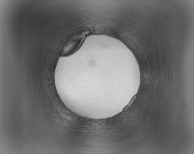 X0000073970865200609111739