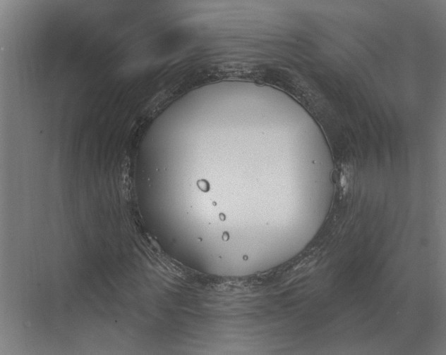 X0000073970867200609111739