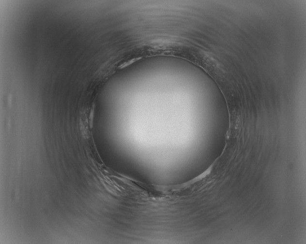 X0000073970868200609111739