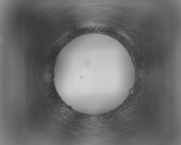 X0000073970869200609111739