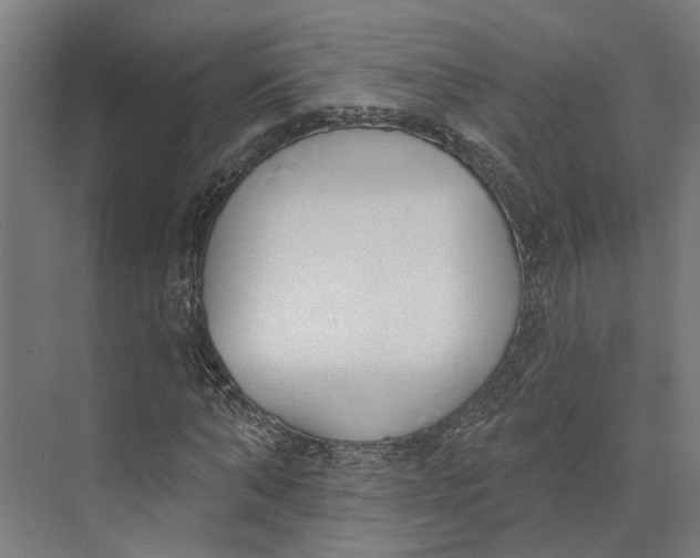 X0000073970870200609111739