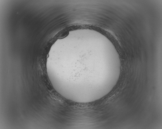 X0000073970871200609111739