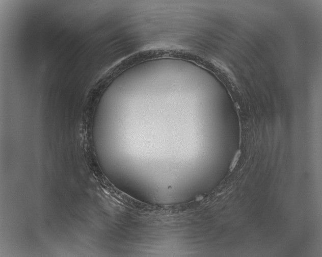 X0000073970872200609111739