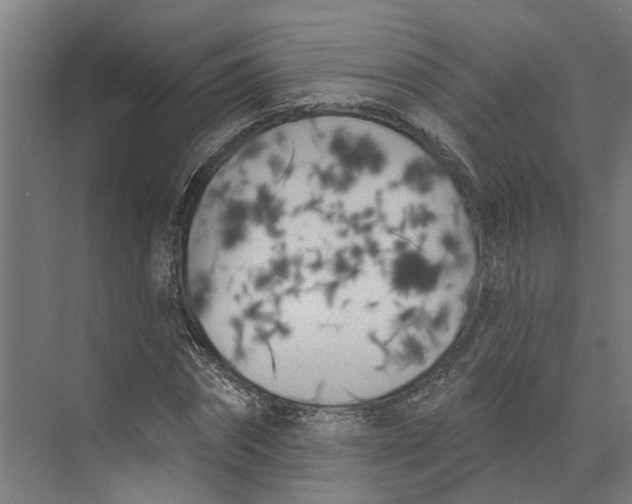 X0000073970874200609111739