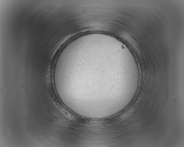 X0000073970875200609111739