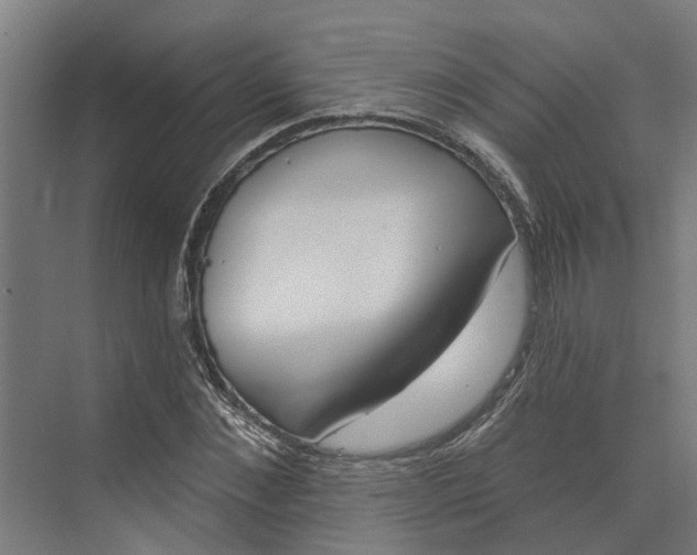 X0000073970876200609111739