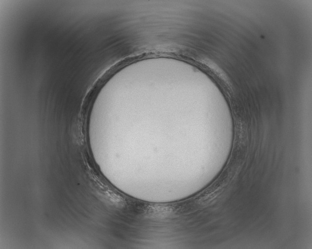 X0000073970878200609111739