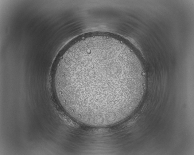 X0000073970879200609111739