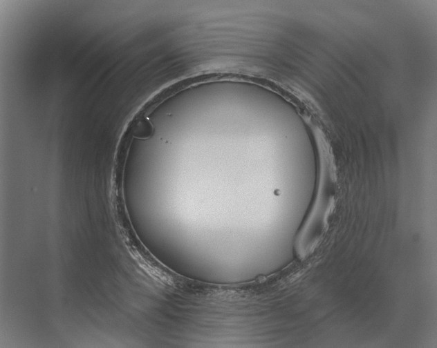 X0000073970880200609111739