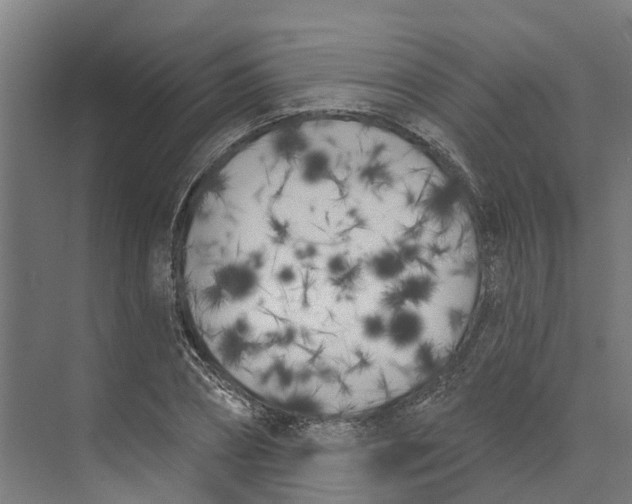 X0000073970882200609111739