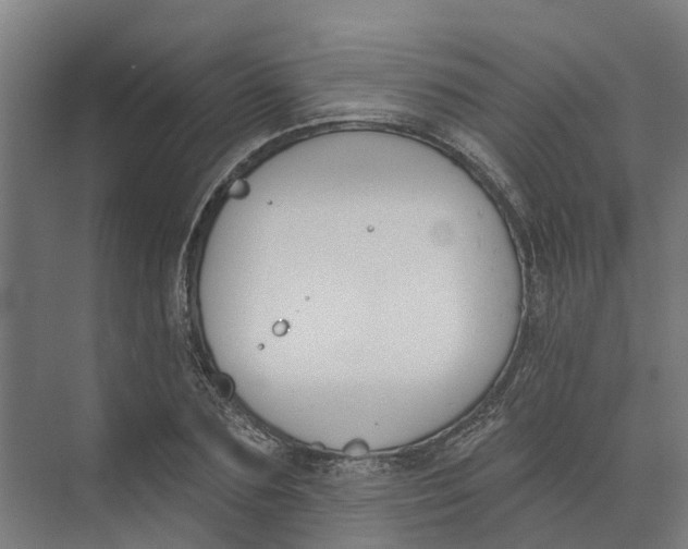 X0000073970883200609111739