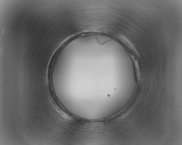 X0000073970884200609111739