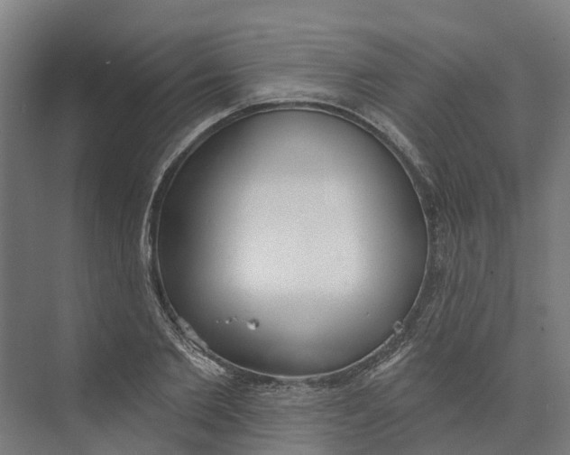 X0000073970885200609111739