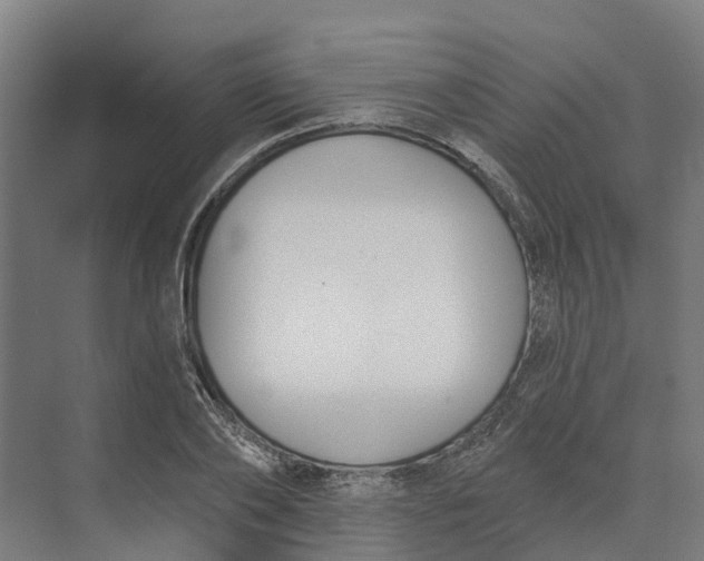 X0000073970886200609111739