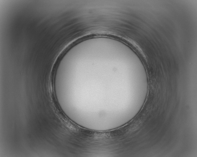 X0000073970887200609111739