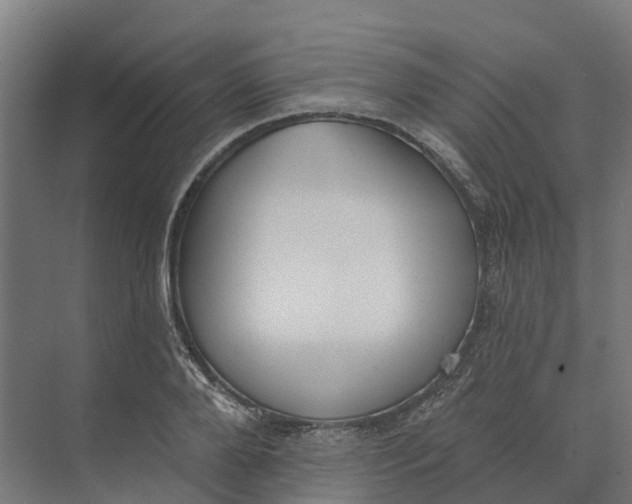 X0000073970888200609111739