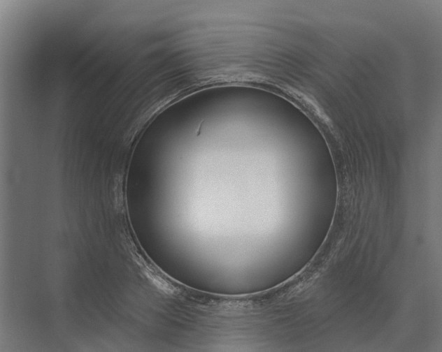 X0000073970889200609111739