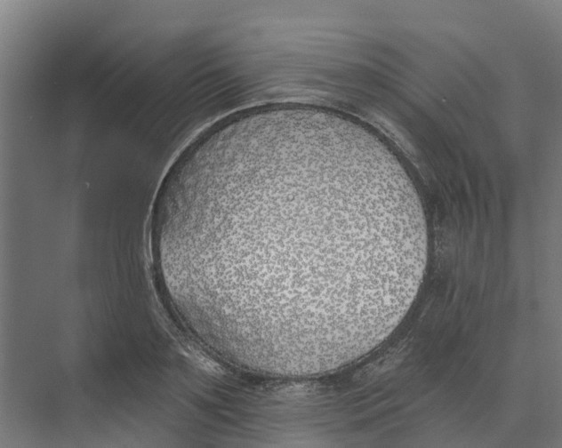 X0000073970891200609111739