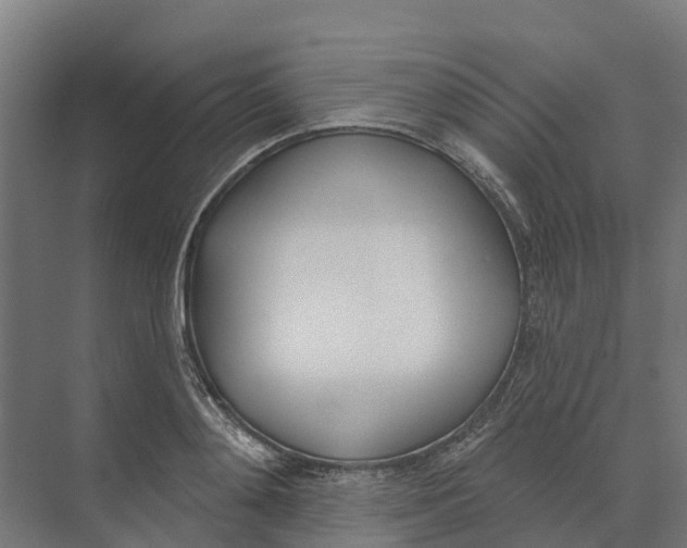 X0000073970892200609111739