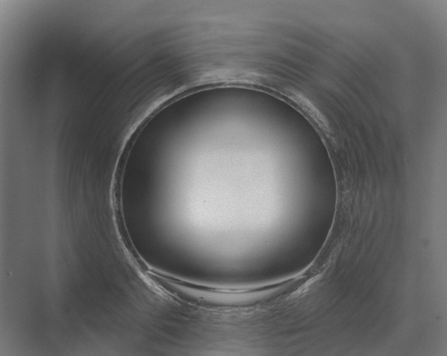 X0000073970893200609111739