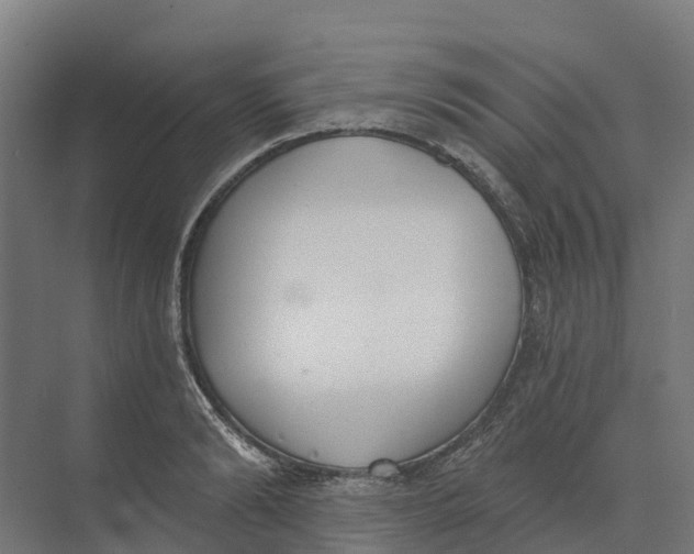 X0000073970894200609111739