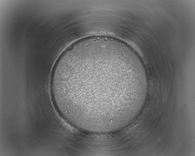 X0000073970895200609111739