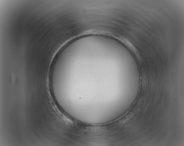 X0000073970896200609111739