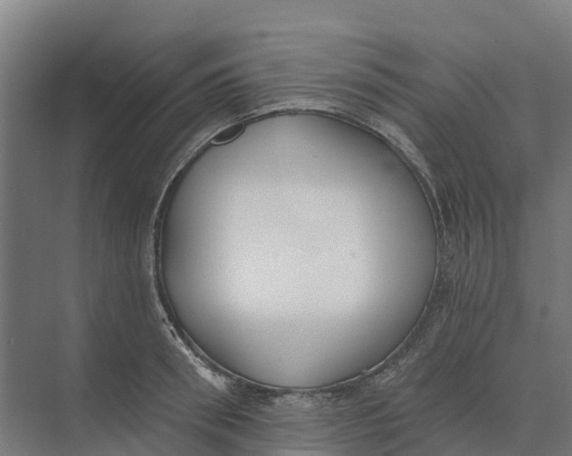 X0000073970898200609111739