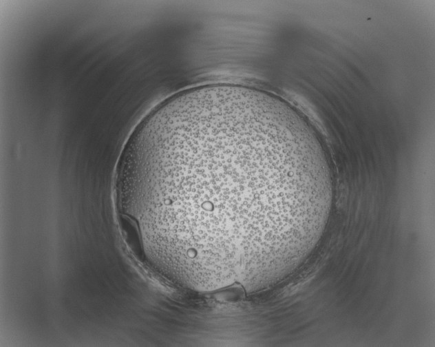 X0000073970899200609111739