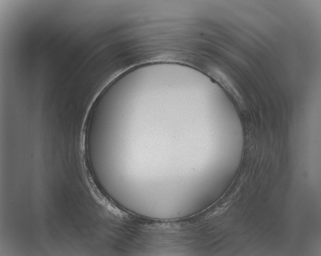 X0000073970900200609111739