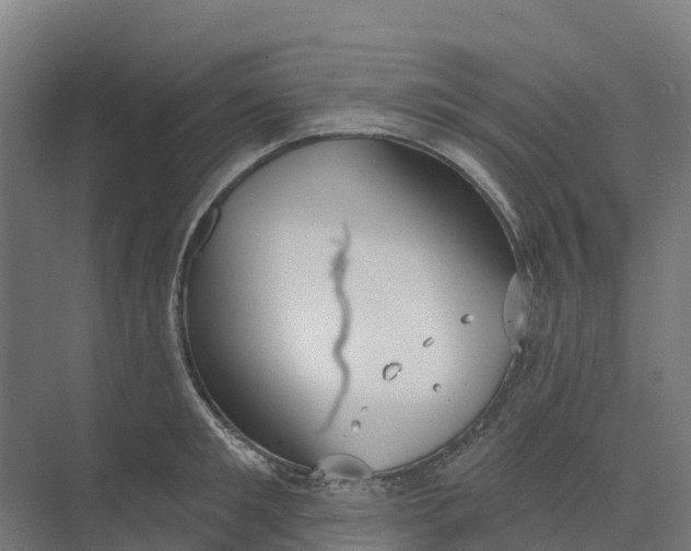 X0000073970901200609111739