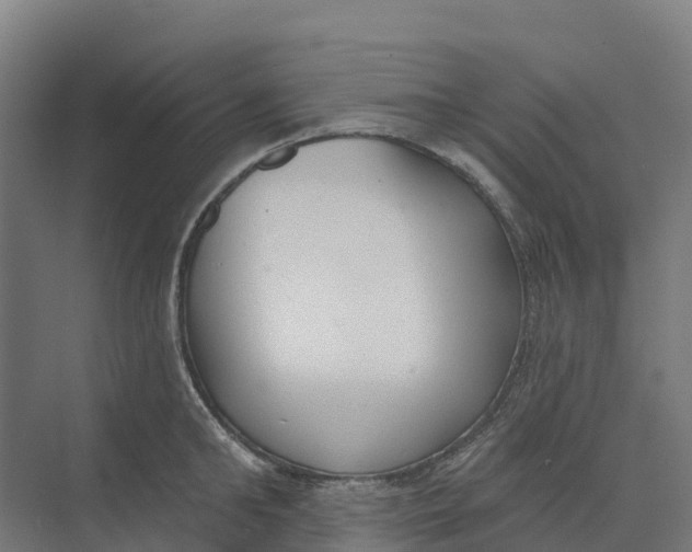 X0000073970902200609111739