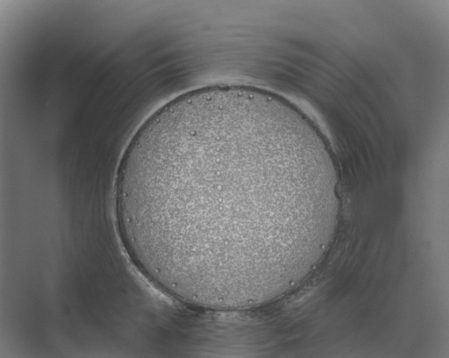 X0000073970903200609111739