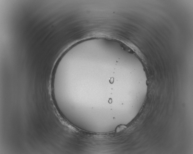 X0000073970904200609111739