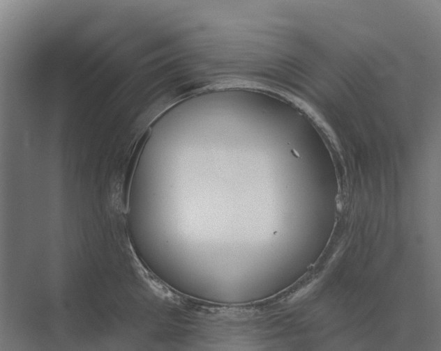 X0000073970905200609111739