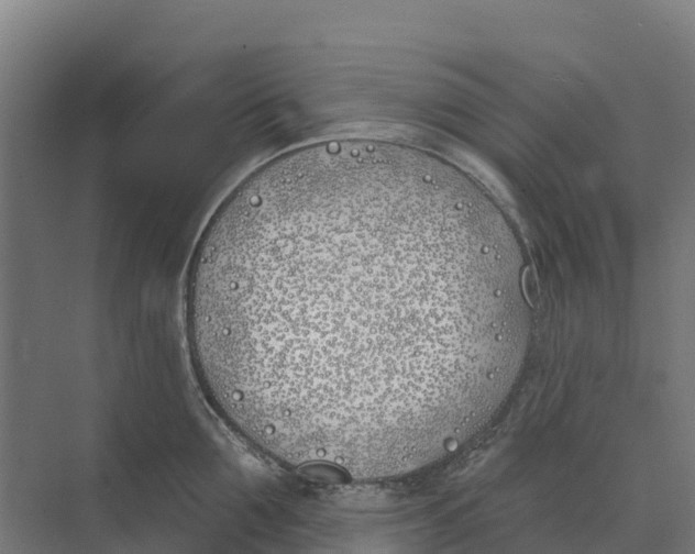 X0000073970907200609111739