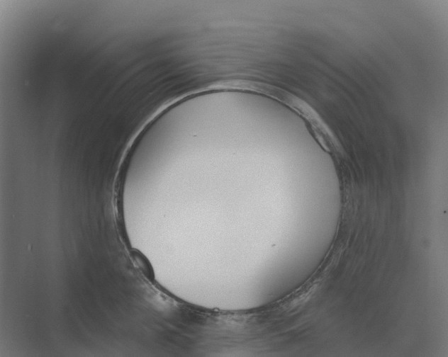 X0000073970908200609111739