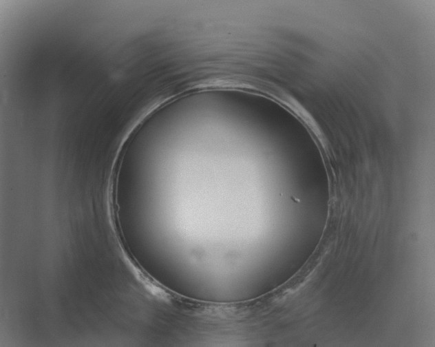 X0000073970909200609111739