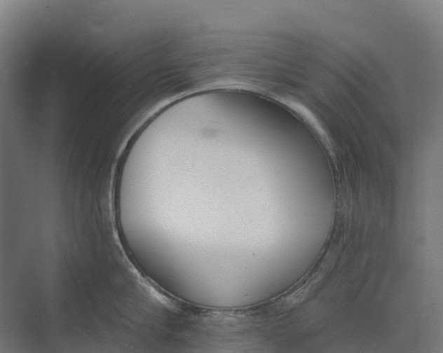 X0000073970910200609111739